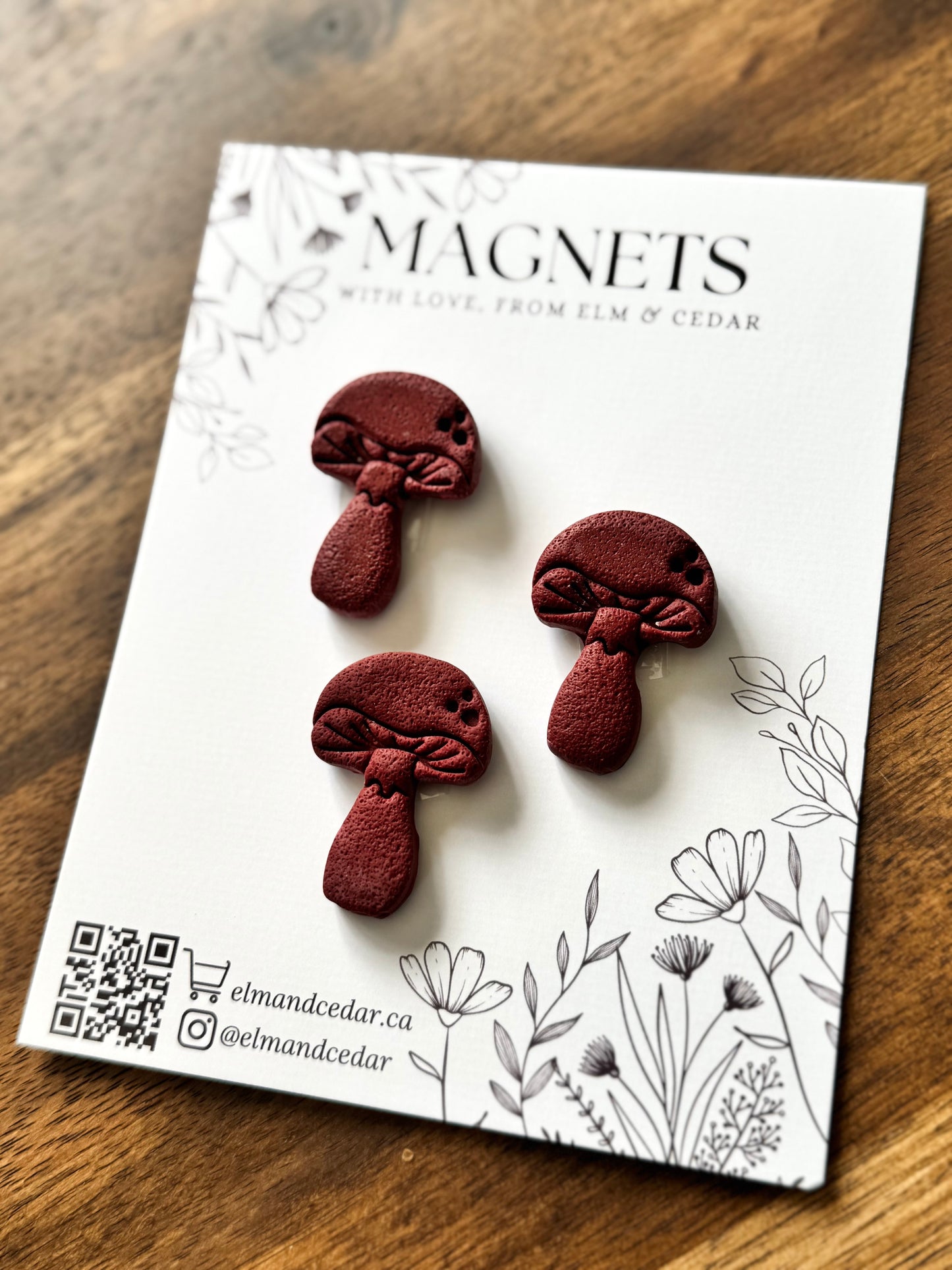 Mushroom Magnet set