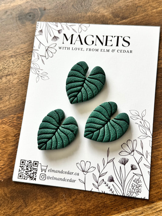 Monstera Magnet set