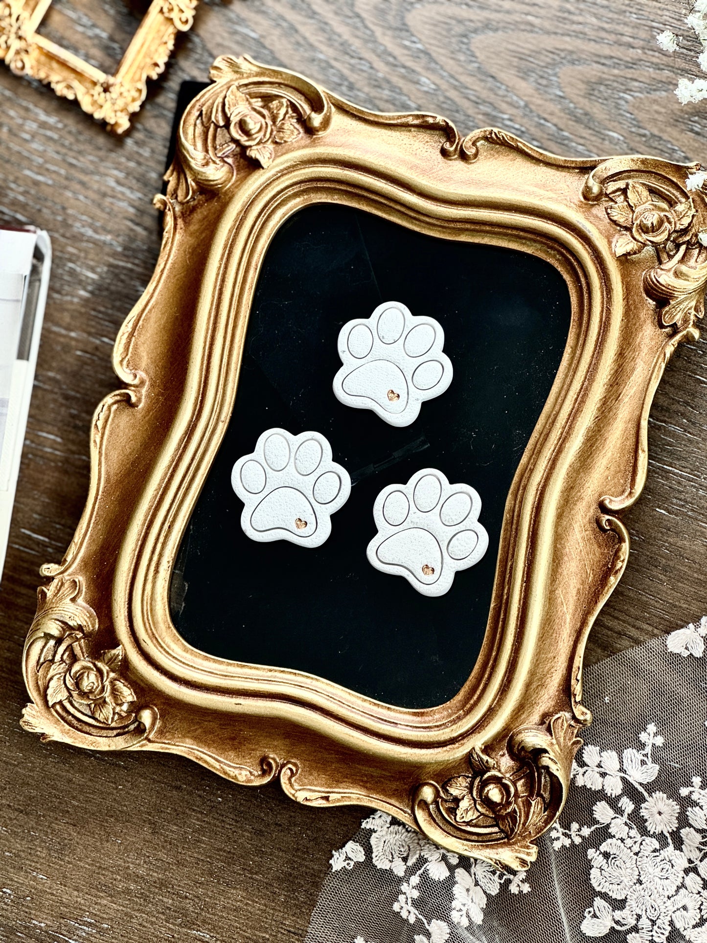 Paw Magnet set