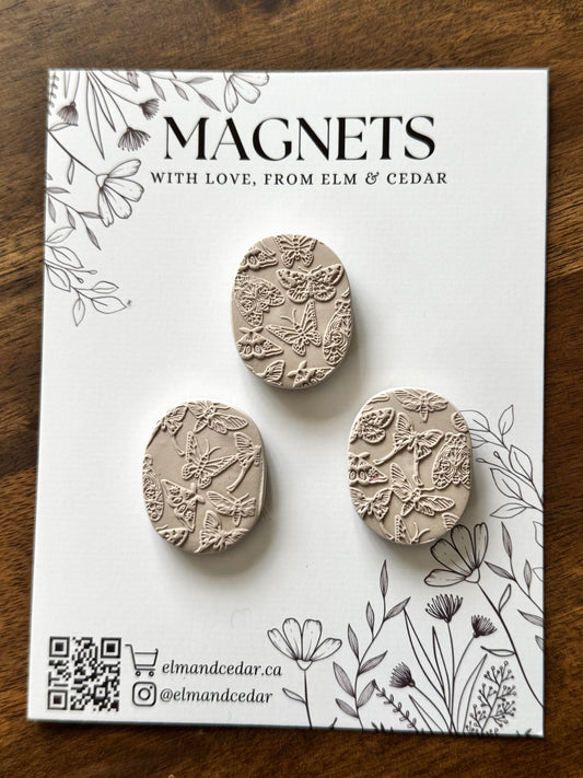 Textured Butterfly Magnet set