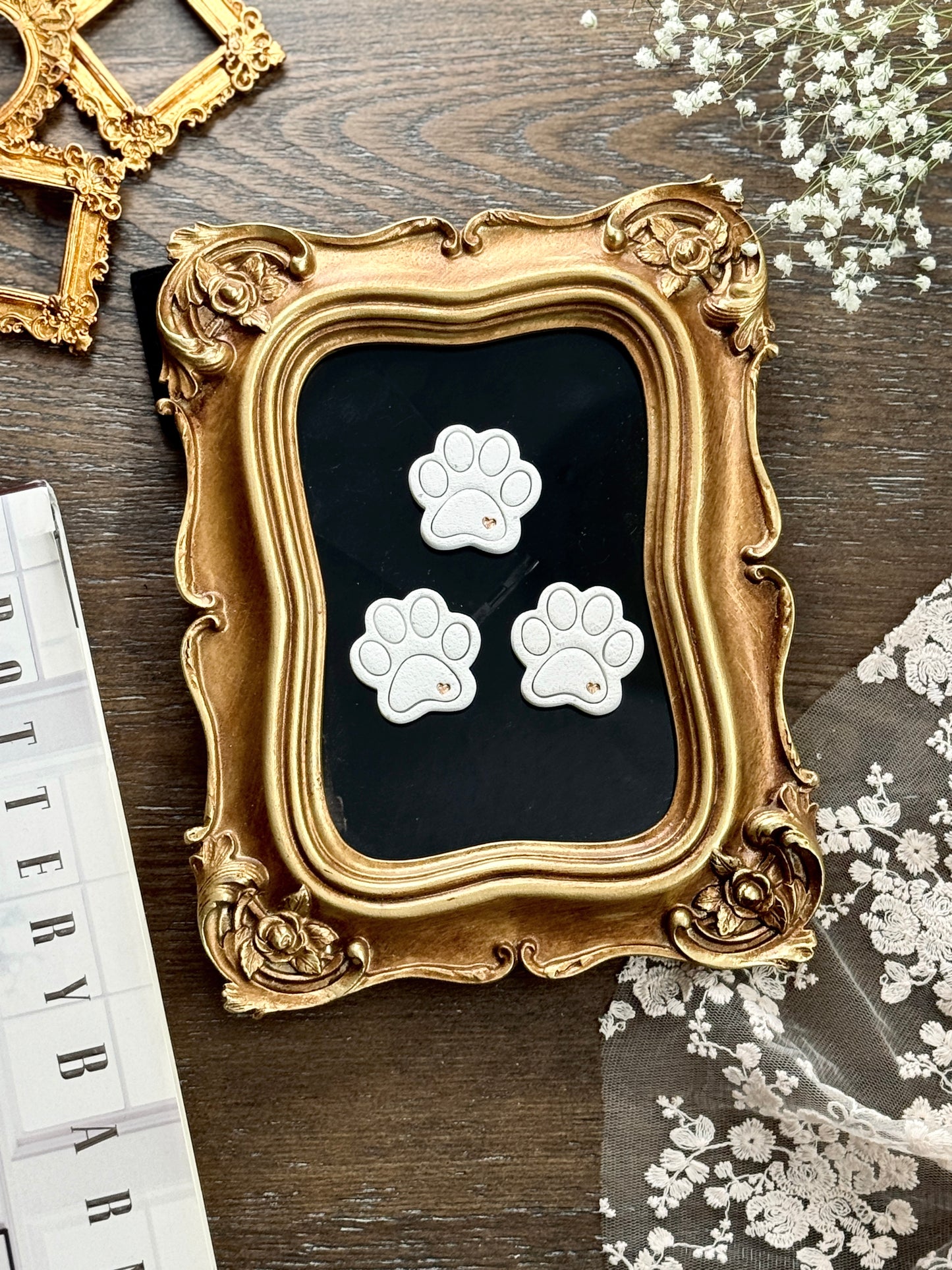 Paw Magnet set