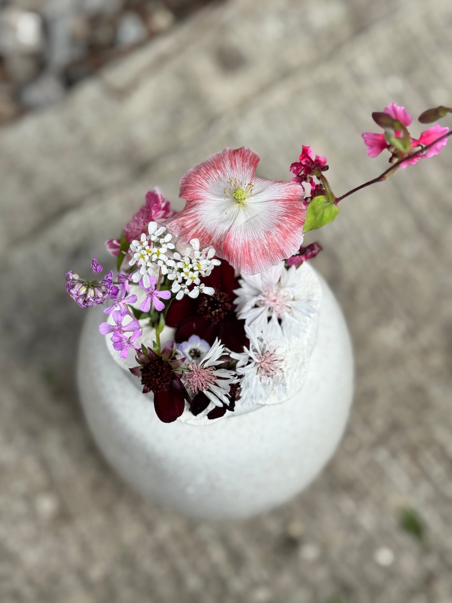 Flower frog/flower arranger for vase