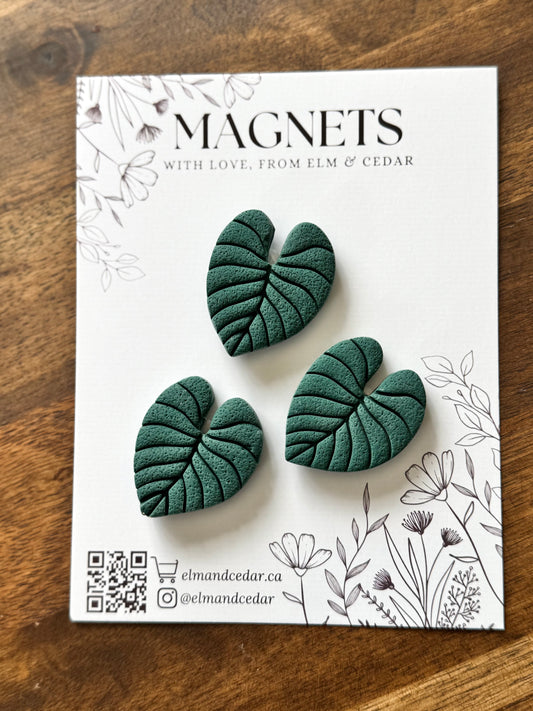 Monstera Magnet set