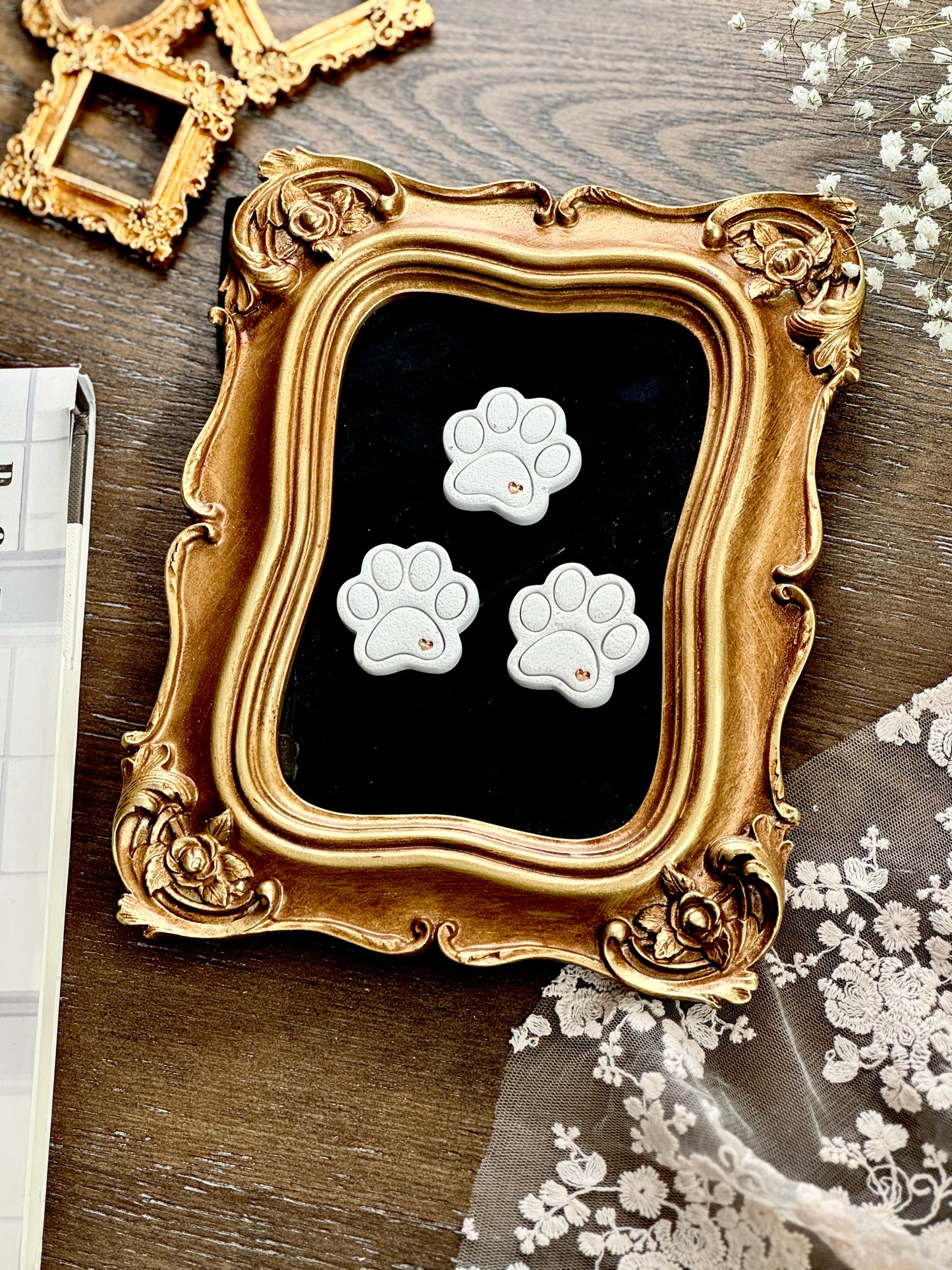 Paw Magnet set